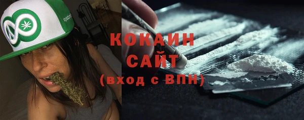 индика Бронницы