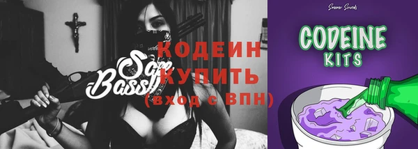 молекула духа Богородицк