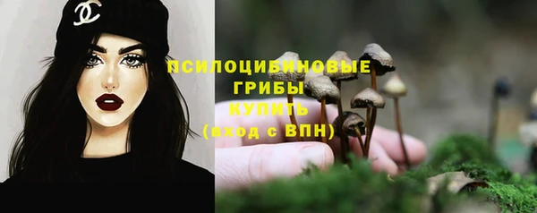 МДМА Богданович