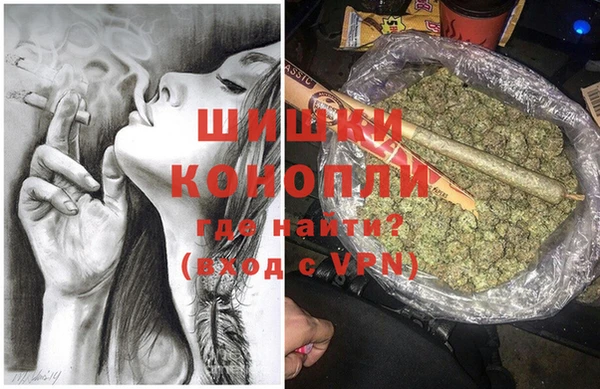 молекула духа Богородицк
