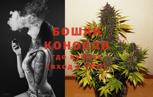 индика Бронницы