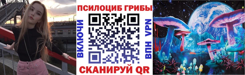 Псилоцибиновые грибы Cubensis  Велиж 